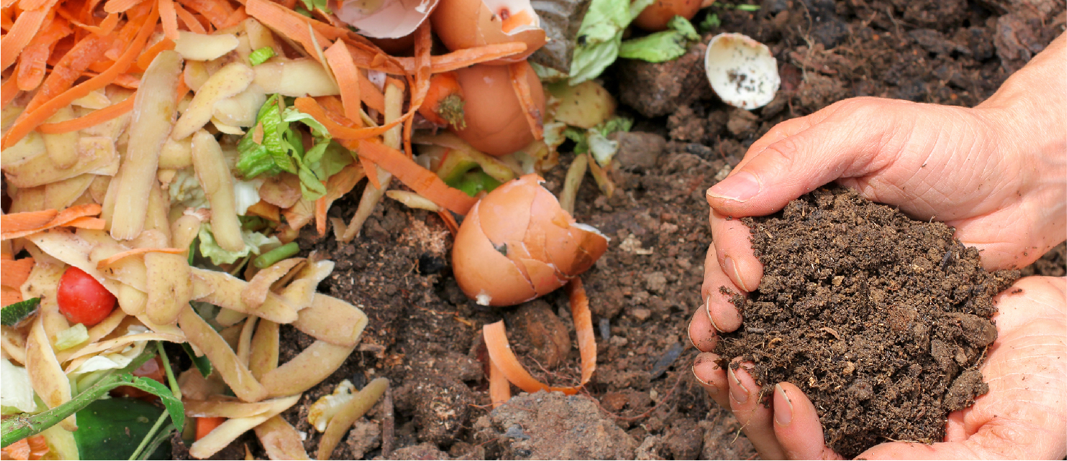 Home composting workshops - ACSWMD